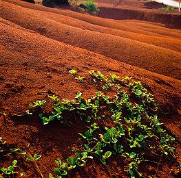 拉瑞安正在招募玩家 为《博德之门3》新补丁进行测试